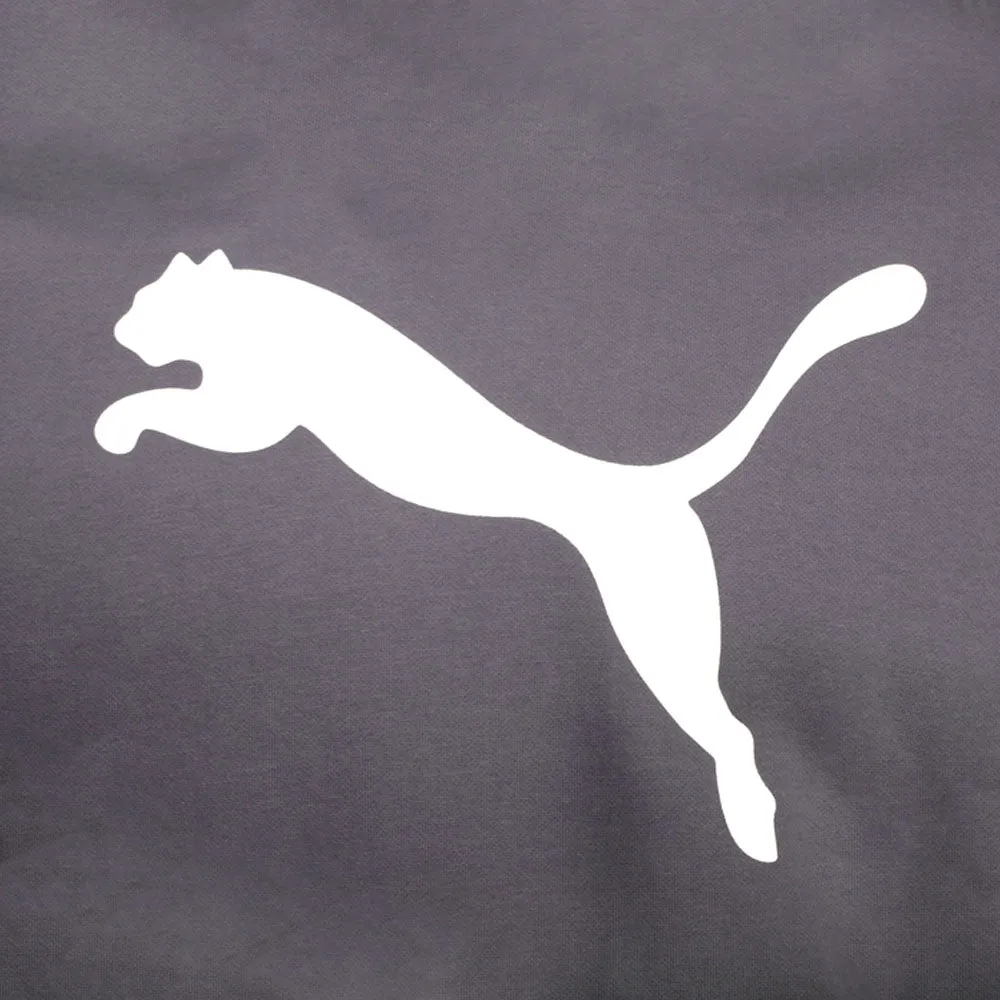 Cf Big Cat Logo Pullover Hoodie