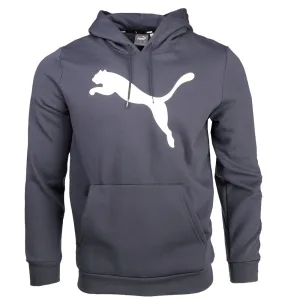 Cf Big Cat Logo Pullover Hoodie