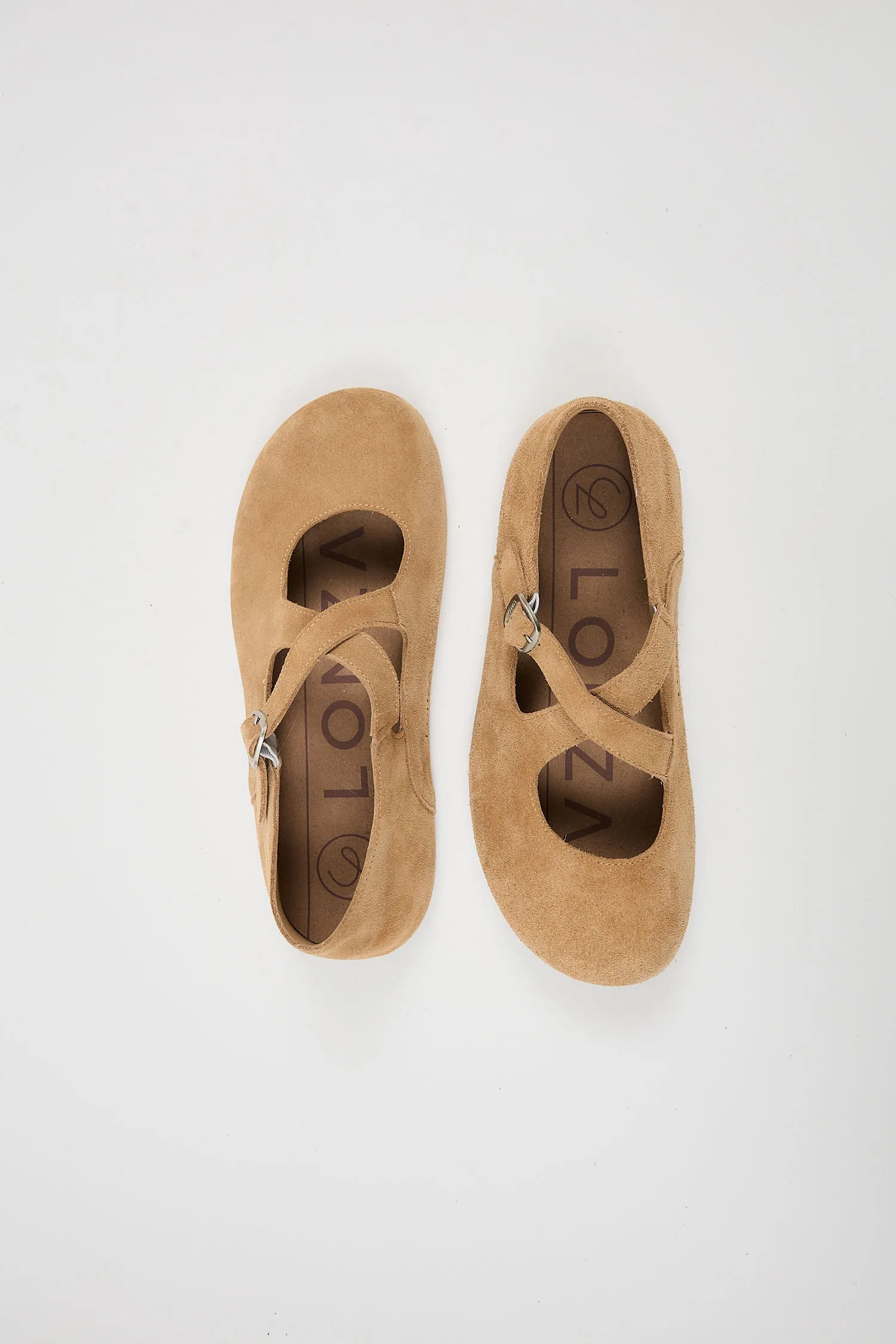 Laurel Camel