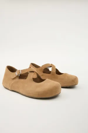 Laurel Camel