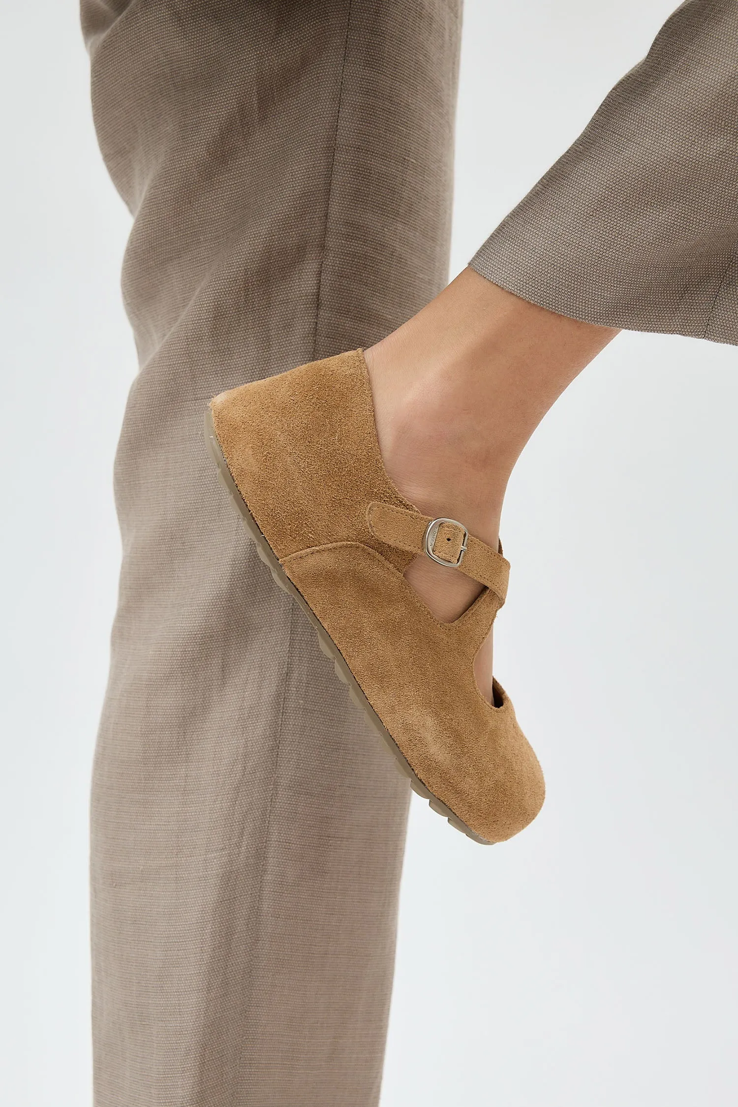 Laurel Camel