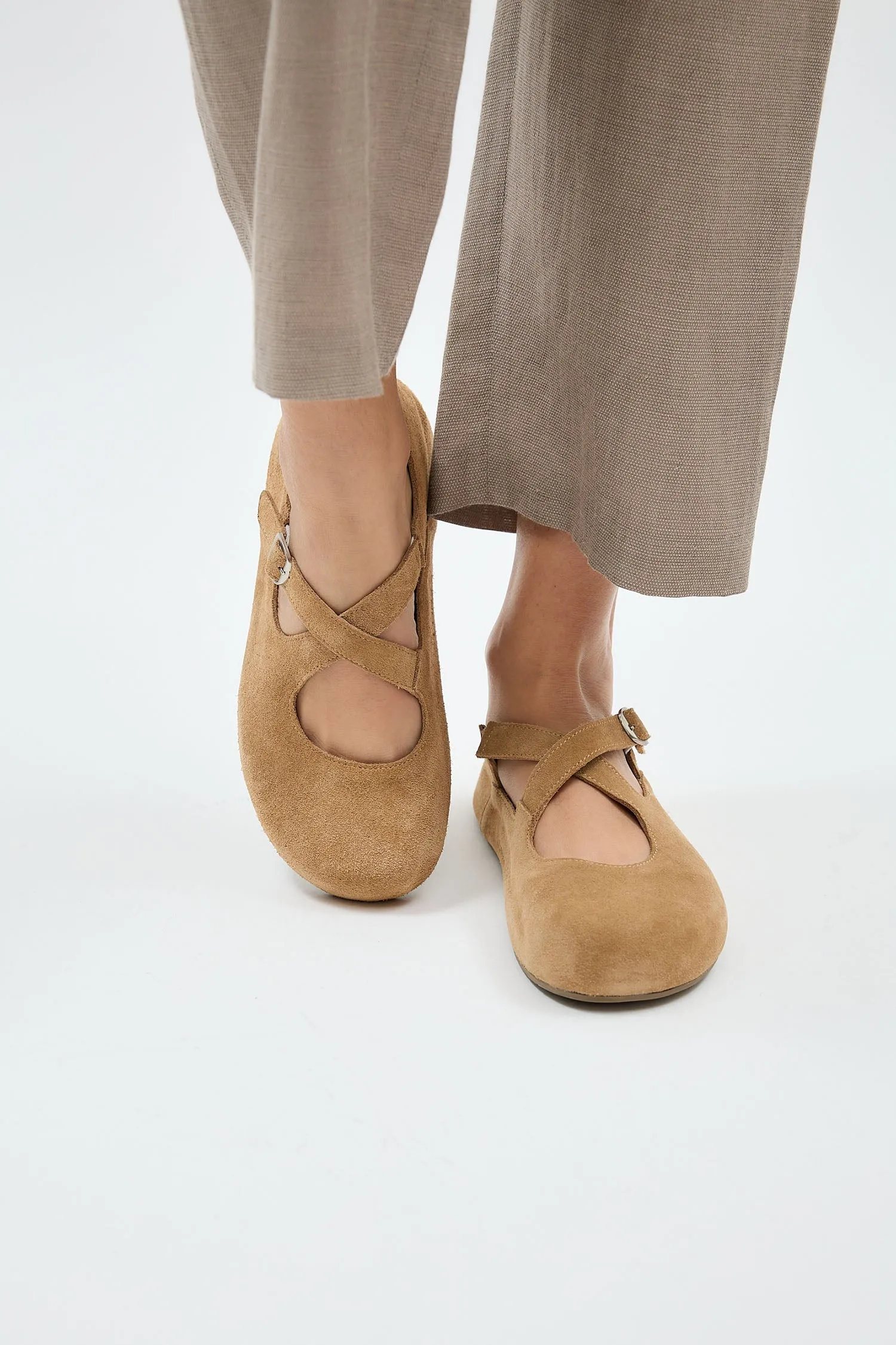 Laurel Camel