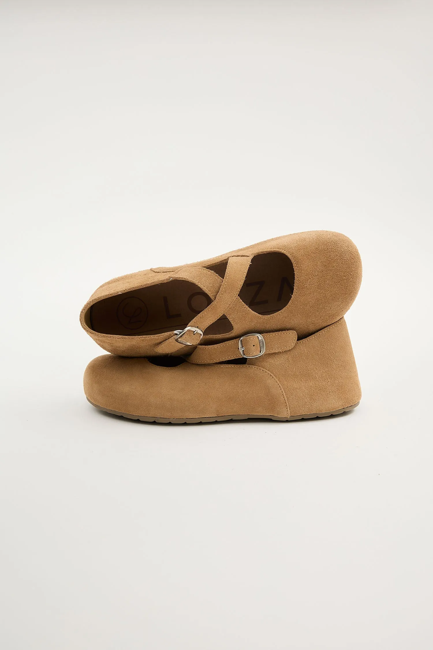 Laurel Camel