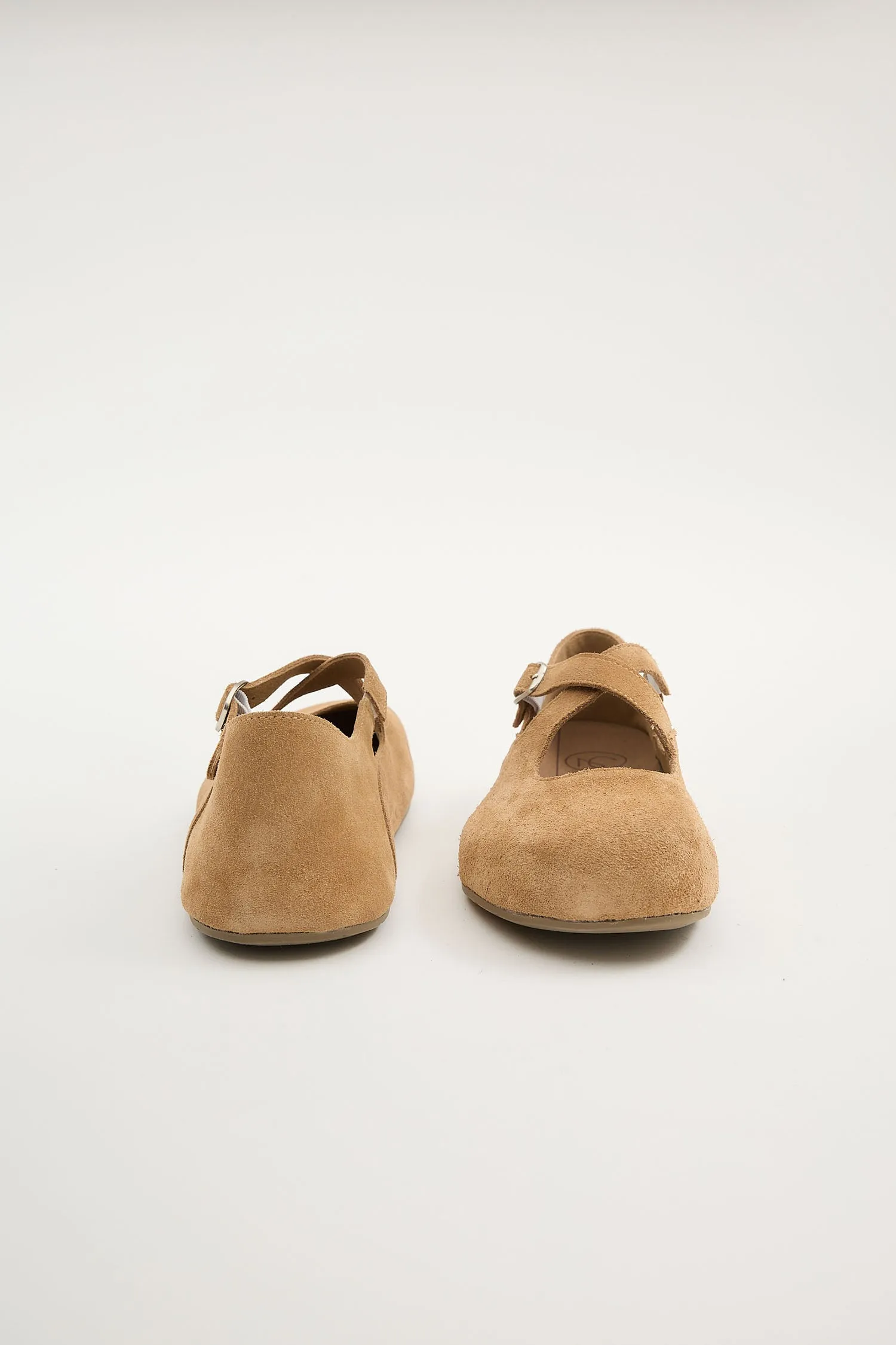 Laurel Camel