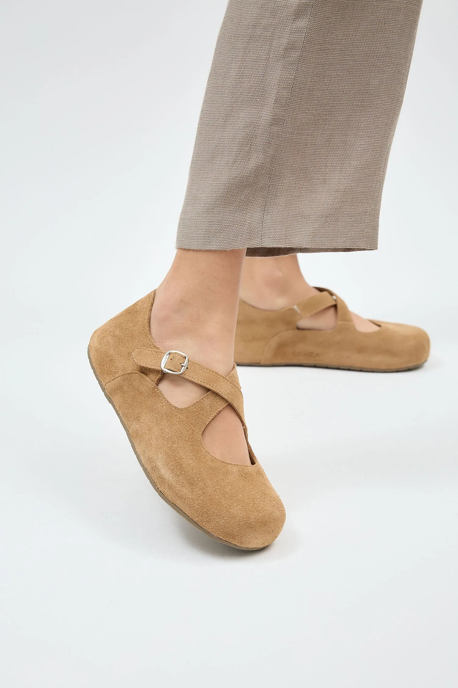 Laurel Camel