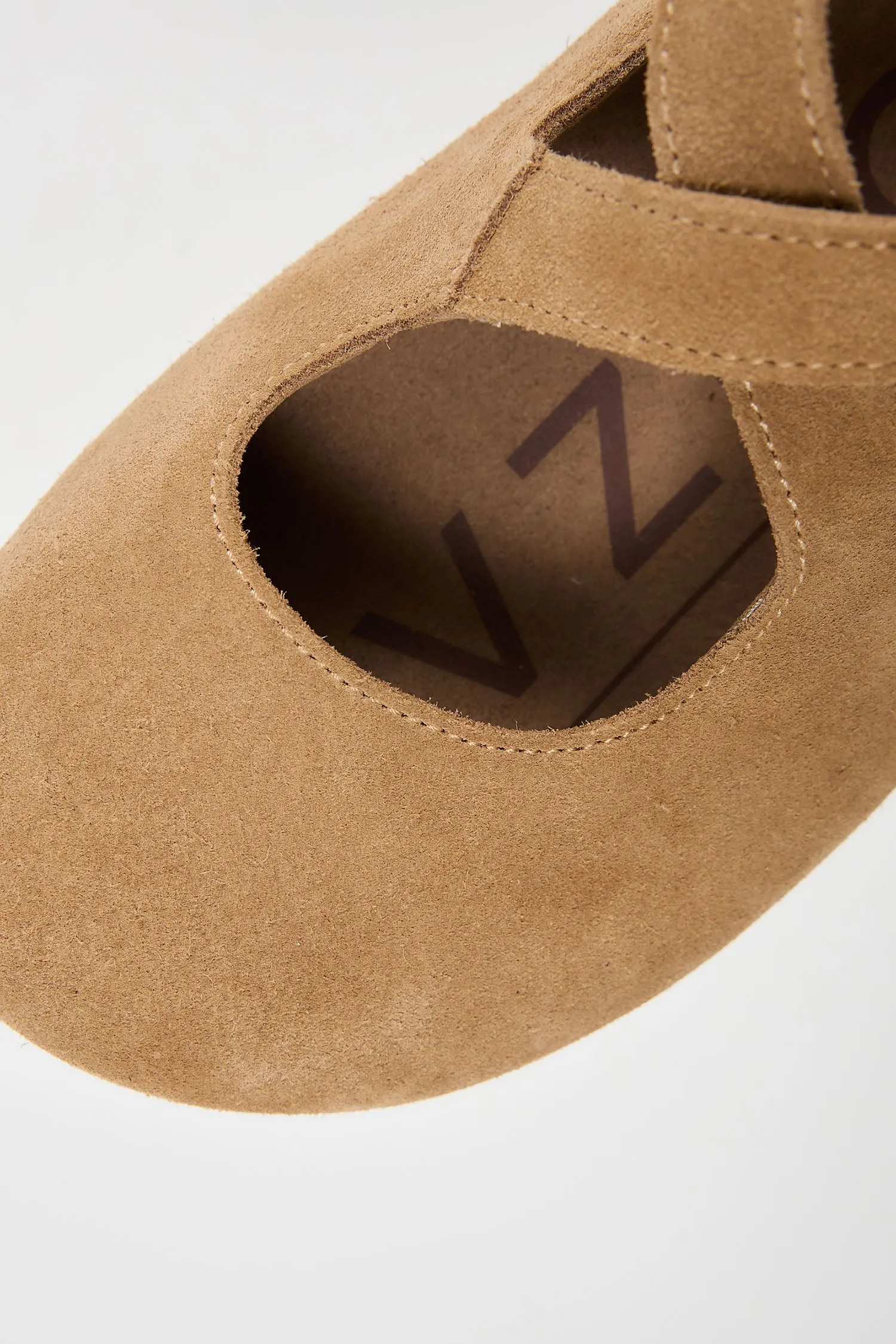 Laurel Camel