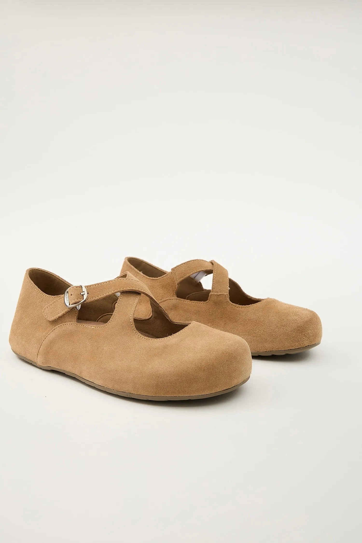 Laurel Camel