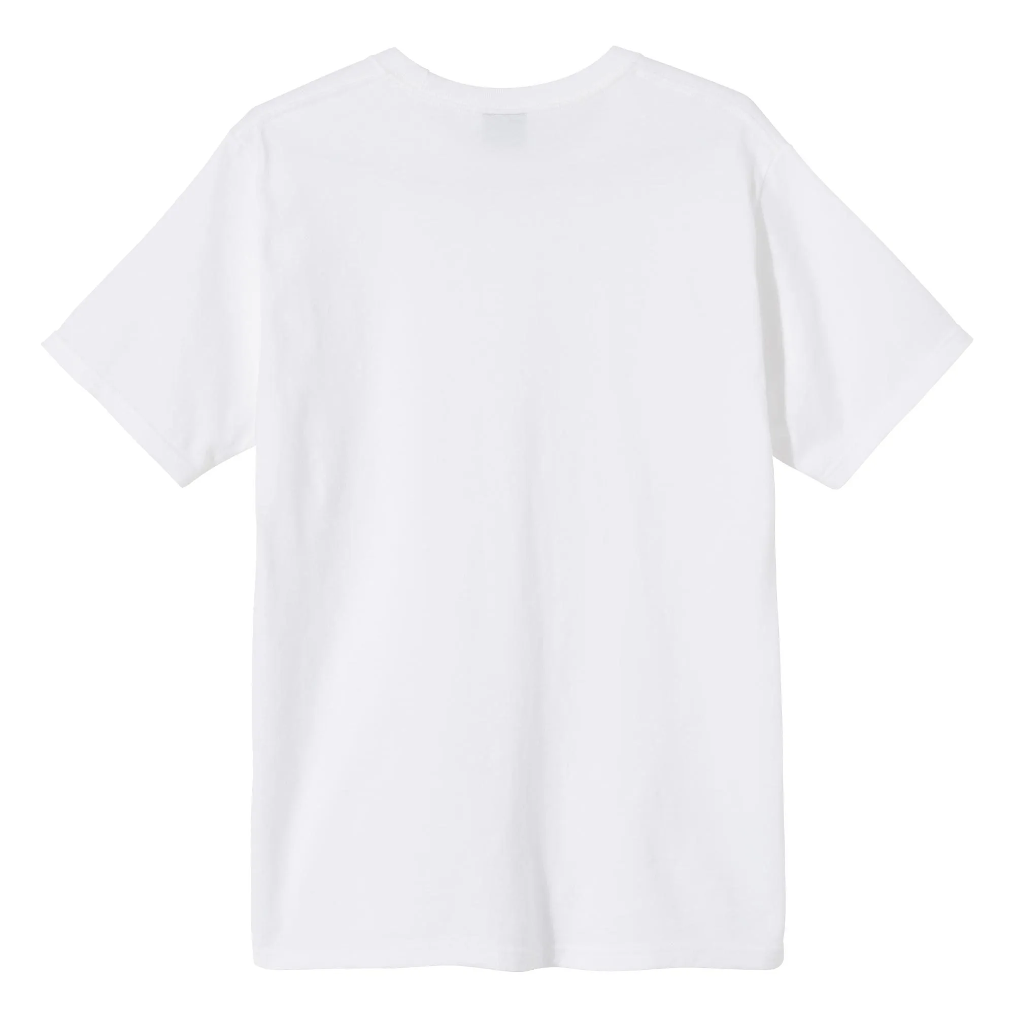 Stussy Paintbrush Tee White